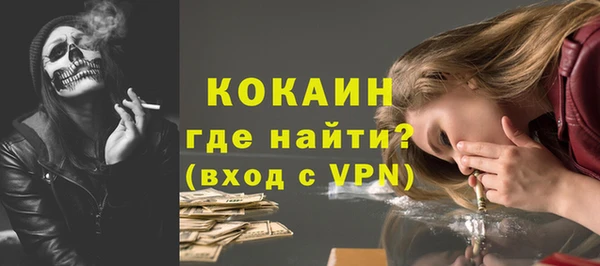 гидра Краснослободск