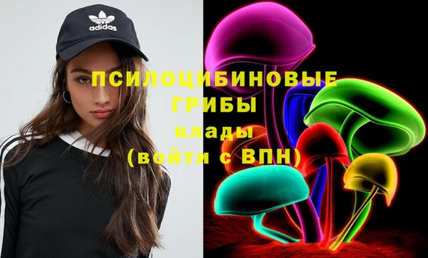 гидра Краснослободск