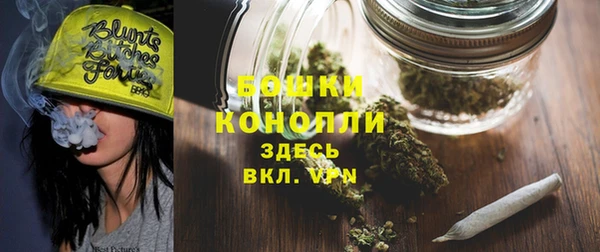 гидра Краснослободск