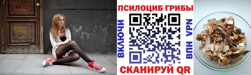 Псилоцибиновые грибы Cubensis  Купить закладки  Арсеньев 